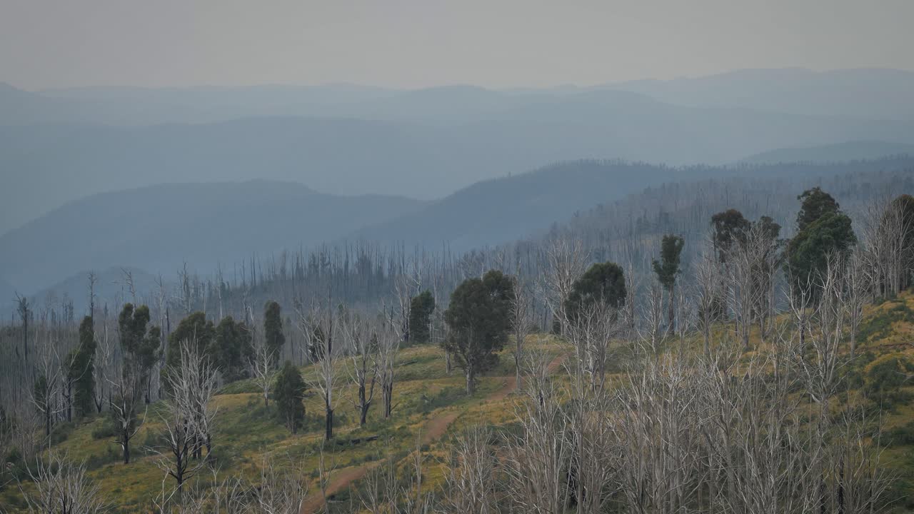 View of the surrounding forest and mountains from Cabramurra lookout in the Snowy Mountains region of New South Wales.