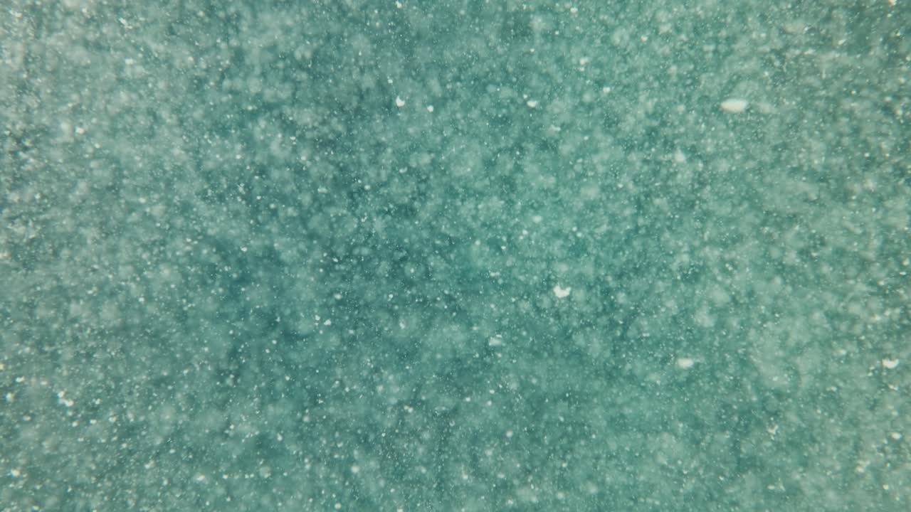 추상적인 수중 배경. 더러운 물 클로즈업.