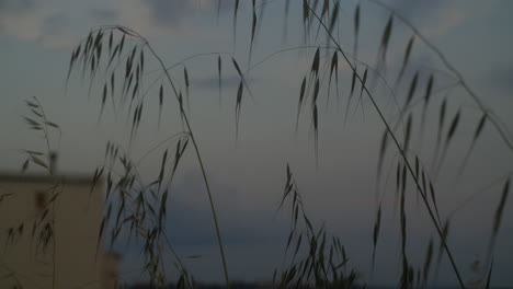 rural house in the evening