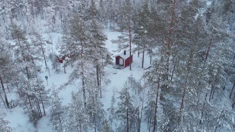 Winterlicher-Fichtenwald-Mit-Isolierten-Hüttenwäldern