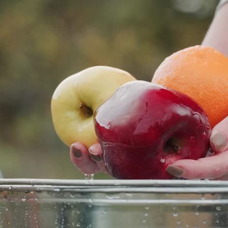 woman washing fresh fruits in a bucket of water