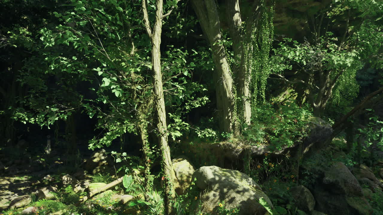 Lush green forest with sunlight filtering through vibrant foliage