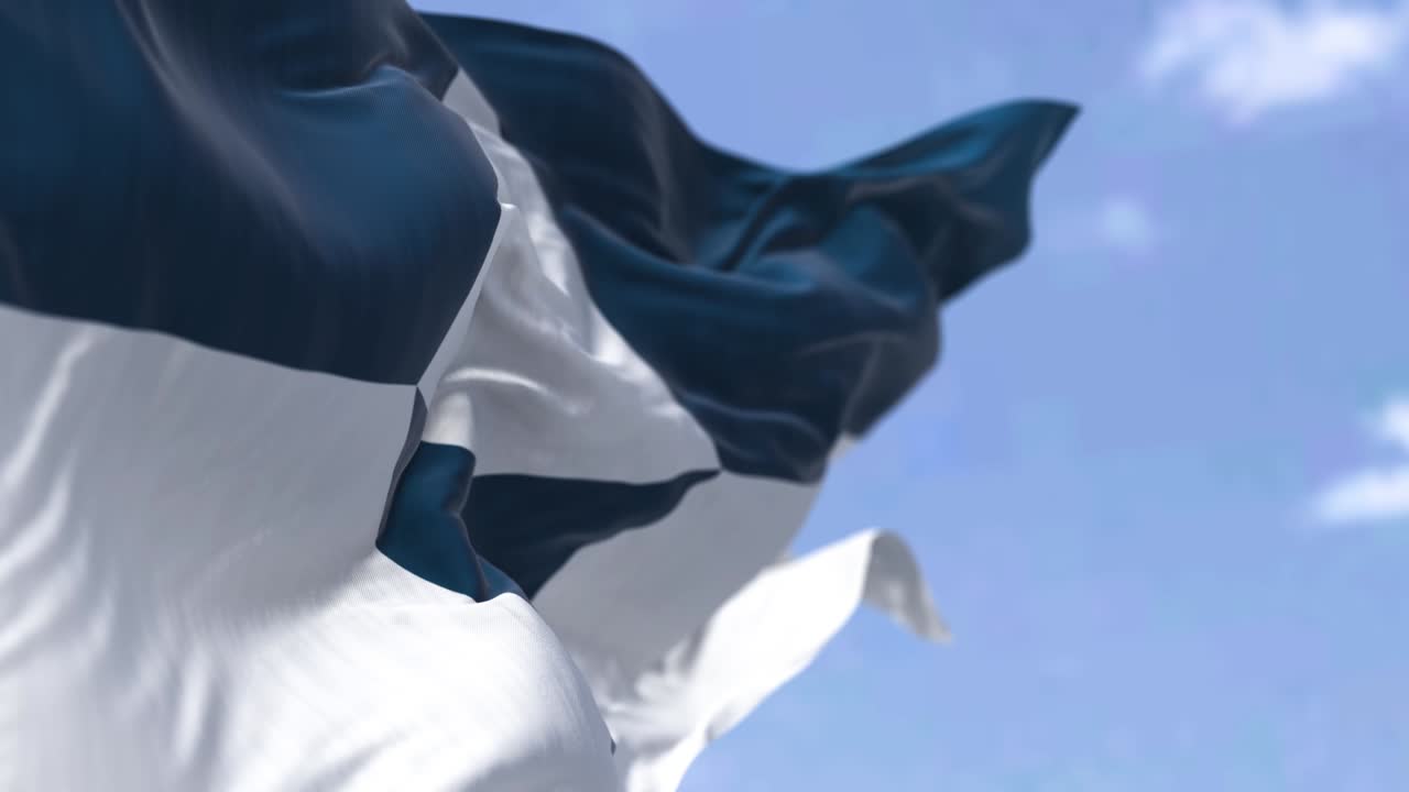 남극의 발 또는 진정한 남쪽 발이 바람에 흔들리고 있습니다.