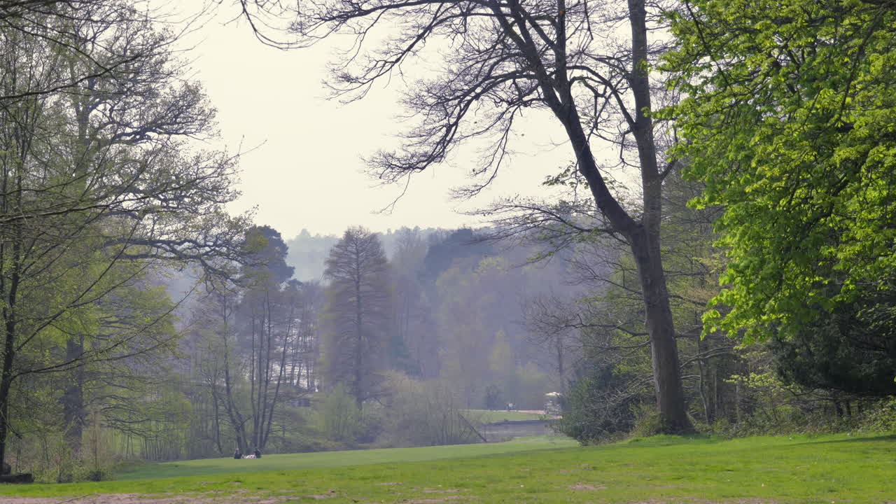Moving 4k footage of an ornamental forest and walkway on the Surrey-Berkshire borders, catching the morning sunshine.