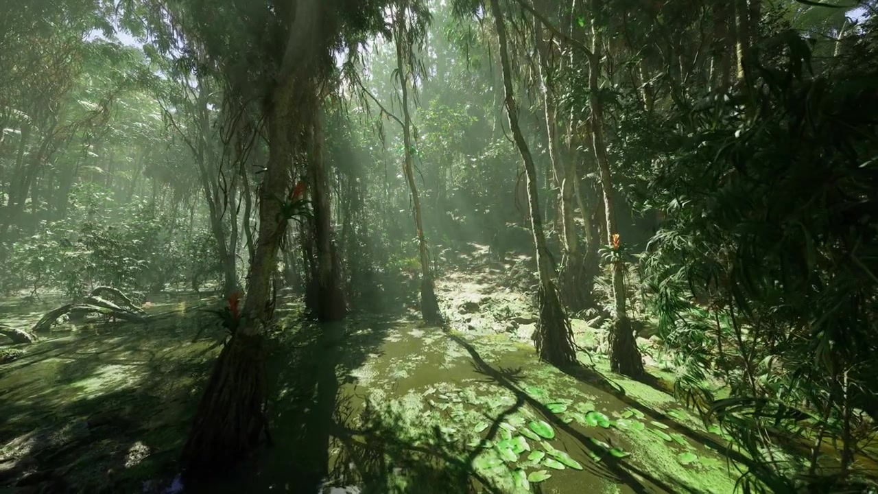 Árboles enormes con copas iluminadas por el sol y un entorno verde y silencioso.