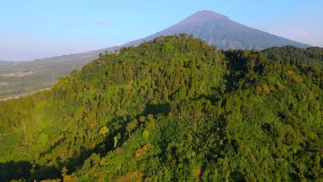 beautiful tropical landscape aerial view in vast forest on the hill - birds eye view use the drone in morning bright sunlight