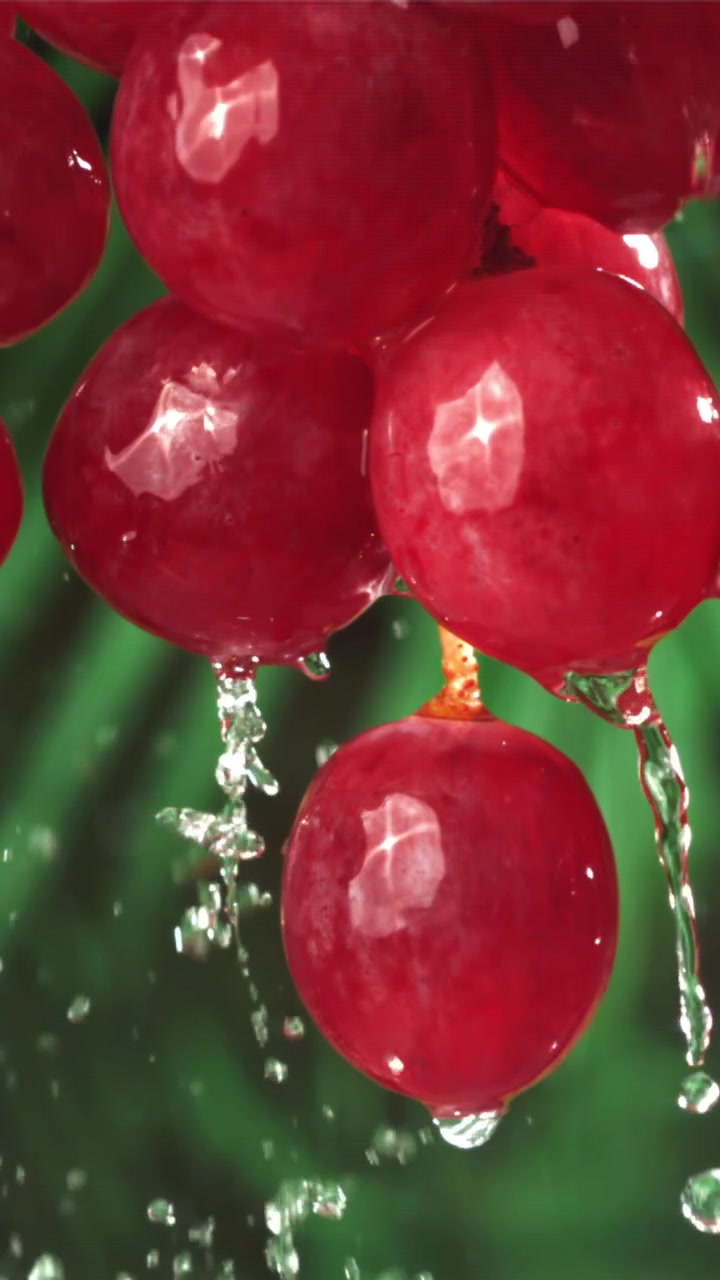 Spritzendes Wasser auf reife rote Trauben in Zeitlupe