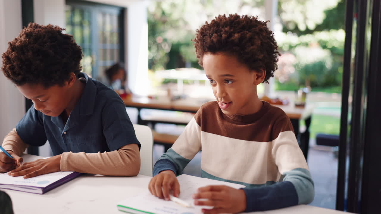 Two Boys Studying at Home