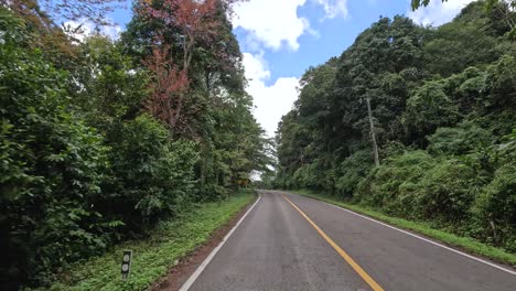 un viaje a lo largo de un camino rodeado de exuberante vegetación