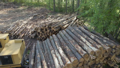 aerial shot of trees stacked up by lumberjacks