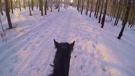 horse riding through snowy forest