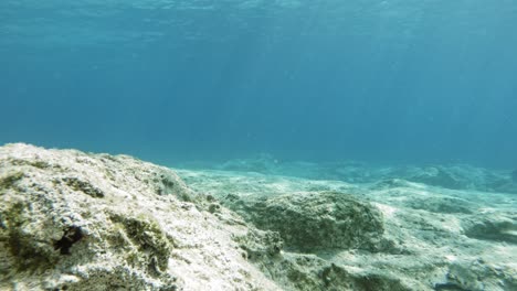 Unterwasseransicht-Des-Flachen-Wassers-Von-Paralia-Emplisi-Mit-Sonnenstrahlen,-Die-Den-Felsigen-Meeresboden-Mit-Einem-Fisch-Beleuchten,-Der-In-Erisos,-Griechenland,-Herumschwimmt---Fixierte-Aufnahme