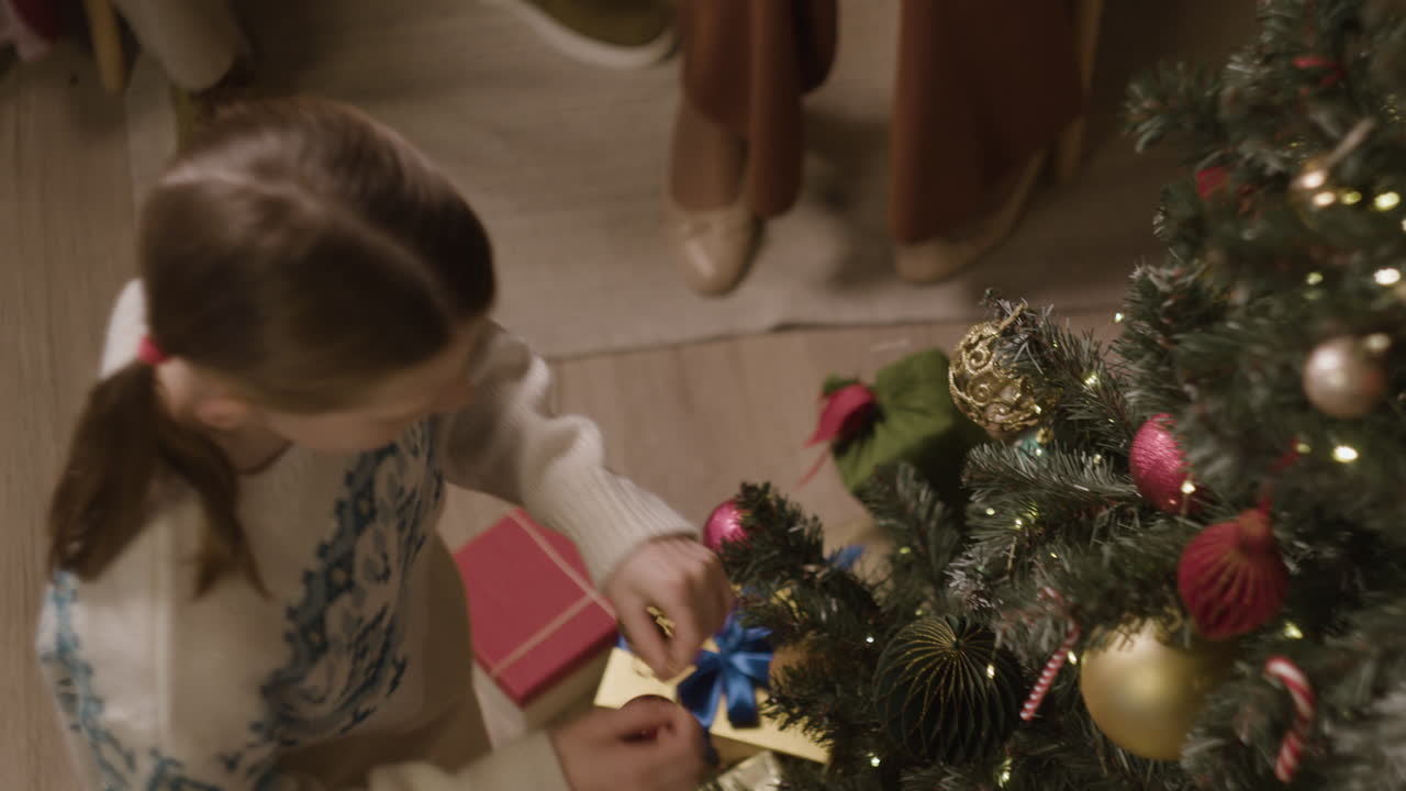 Decorating the Christmas Tree with Family