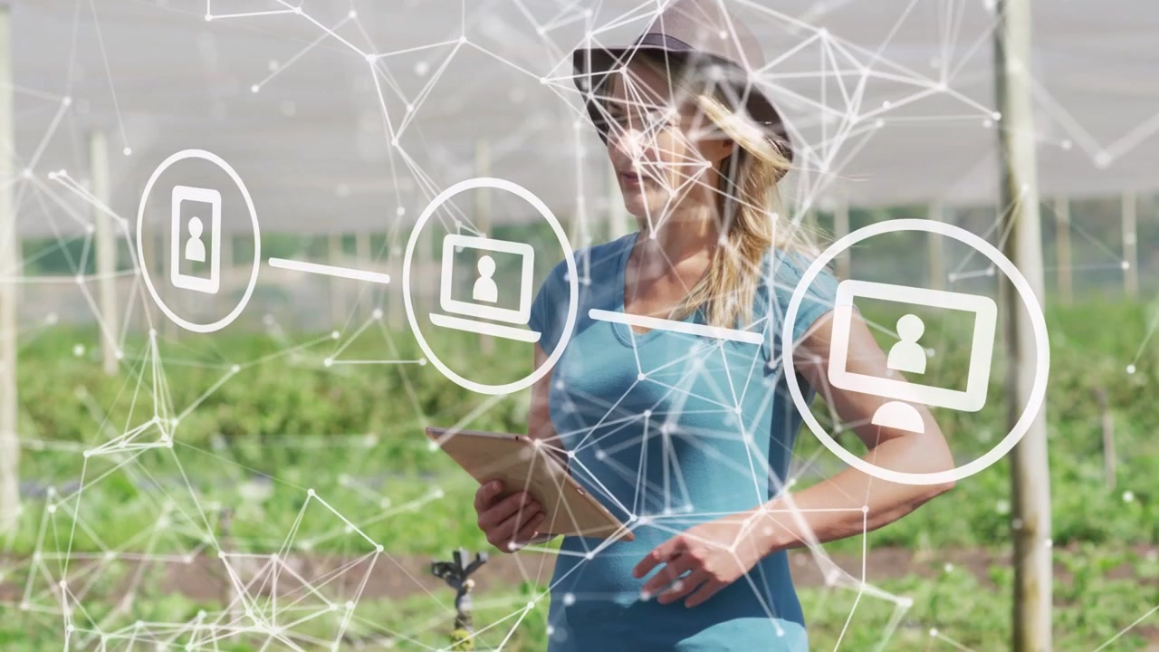 Agronomo che usa il tablet nel campo, con una sovrapposizione di rete che si espande sullo schermo e supporta il monitoraggio delle colture