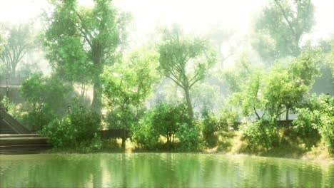 Ruhiger-Teich,-Umrahmt-Von-Einem-üppig-Grünen-Waldpark-Im-Sonnenschein