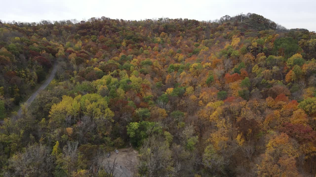 vista aérea de los árboles de un bosque de otoño en la montaña