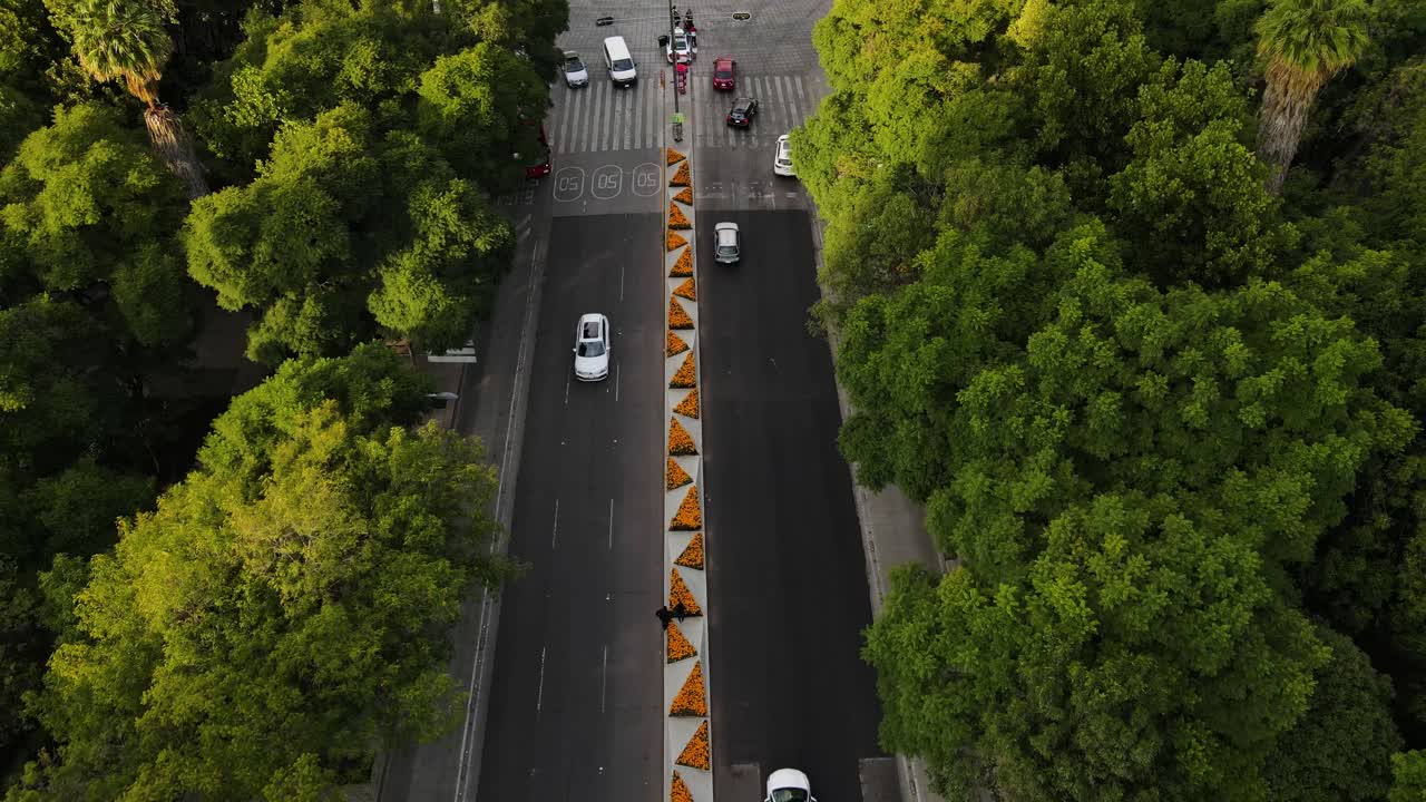 Cars in Paseo de la reforma avenue of Mexico city, Principal street with orange flowers of day of the dead celebration in Mexico