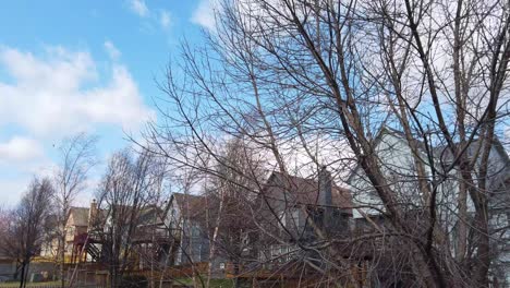 pan muy ventoso sobre árboles, casas y cielo azul