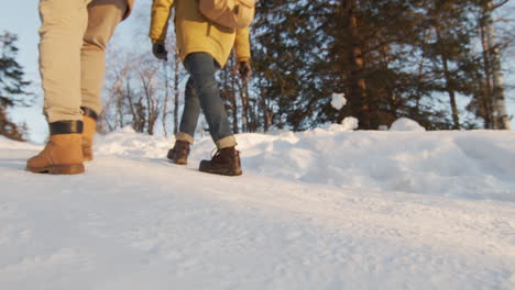 couple hiking in snowy forest