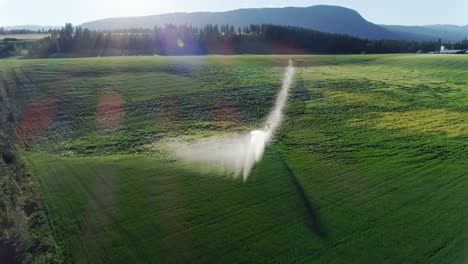 Irrigation-of-green-crops-4k