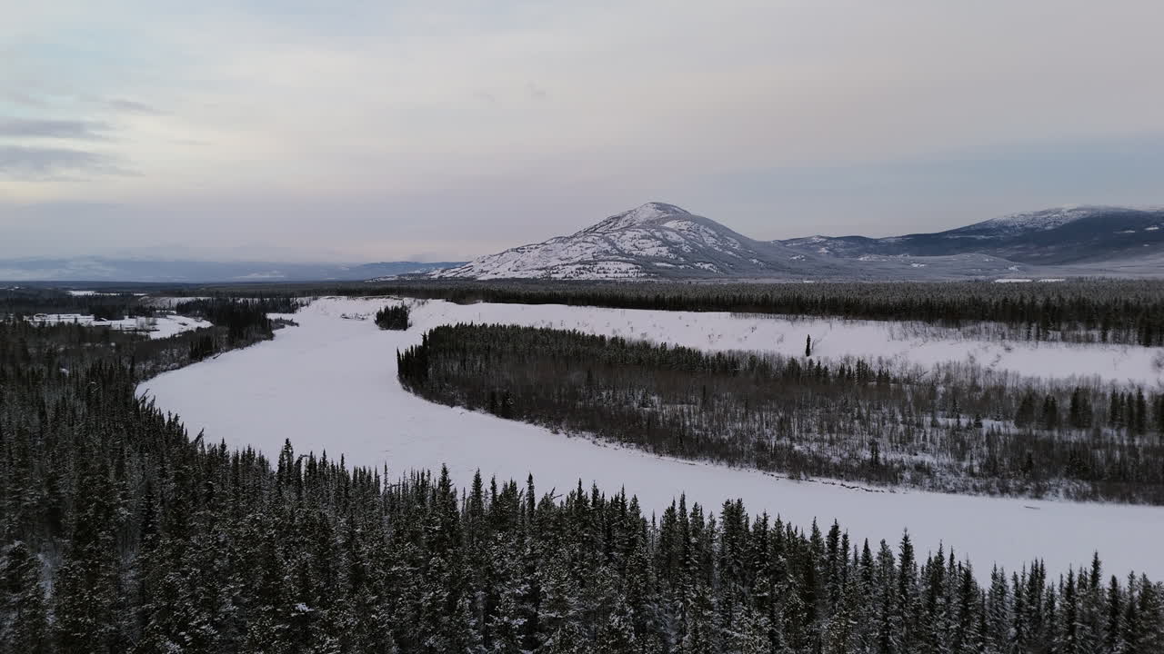 Una toma aérea panorámica muestra el río Takhini fluyendo a través del nevado Valle Ibex, rodeado de densos bosques de abetos bajo un cielo invernal nítido de Yukón, capturando una majestuosa belleza natural