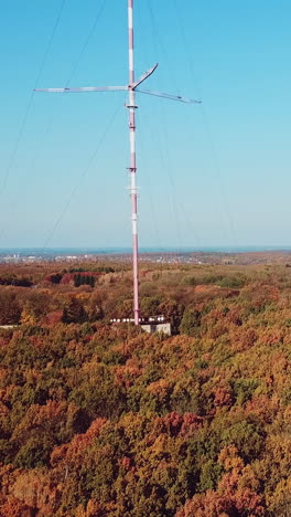 aerial view of the tv tower on the background of the forest. camera motion up. vertical video