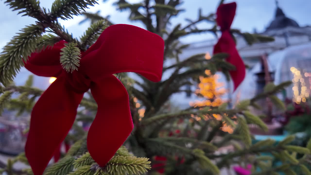 Red christmas decorations with fir tree branch in the evening