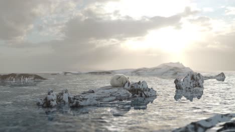 polar bear on melting ice