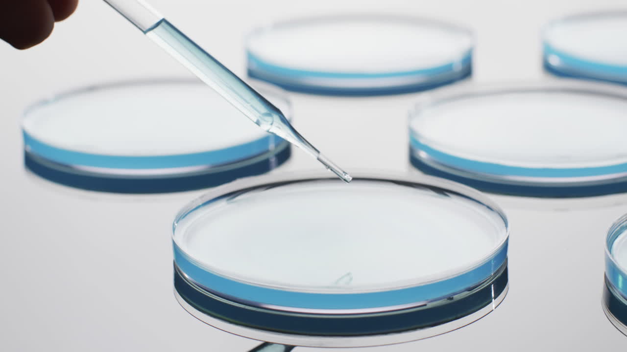 백색 배경에 복사 공간과 함께 실험실 피과 유리 접시의 클로즈업 비디오