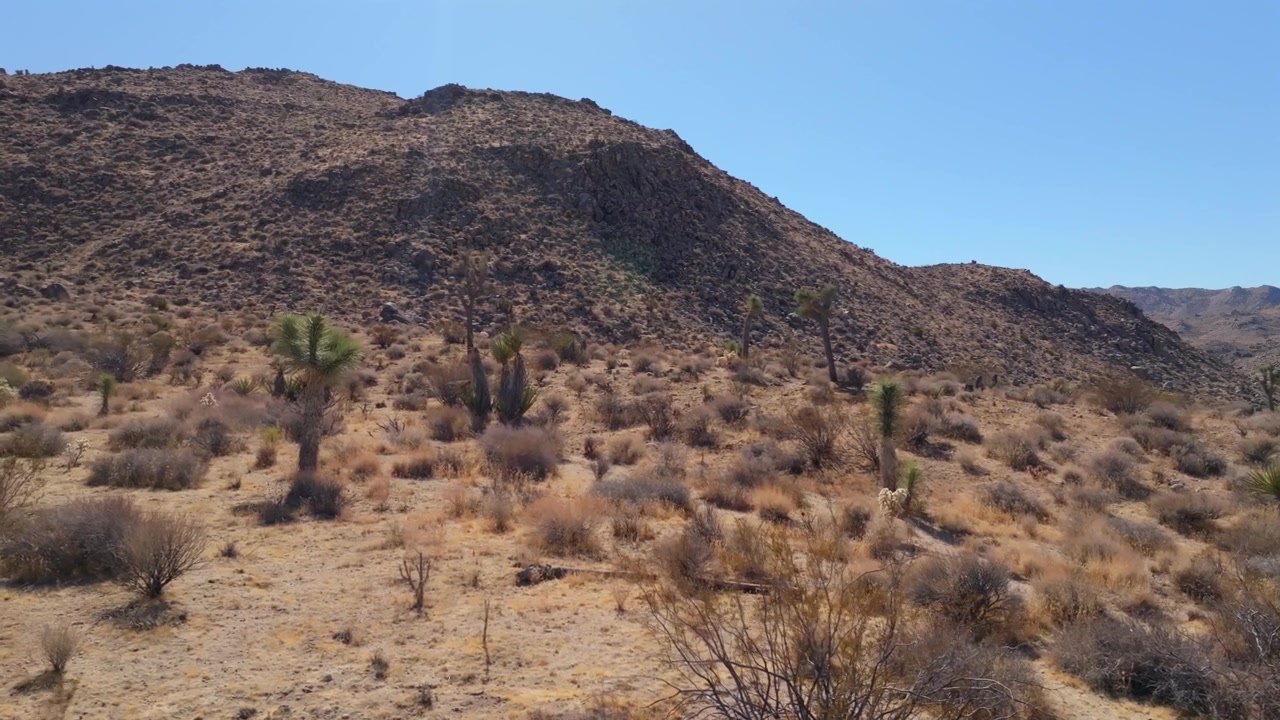Trilha no Parque Nacional Joshua Tree, Califórnia, vista aérea de drone, árvores de yucca no deserto de Mojave e Colorado, Oásis de Forty-nine Palms, céu azul matinal de outono (outubro, novembro), formações rochosas acidentadas, movimento de deslize para a esquerda