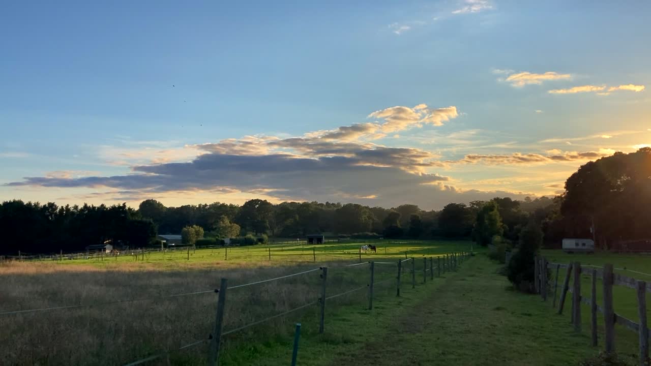 paddock y campo para caballos en la hermosa puesta de sol en surrey, inglaterra