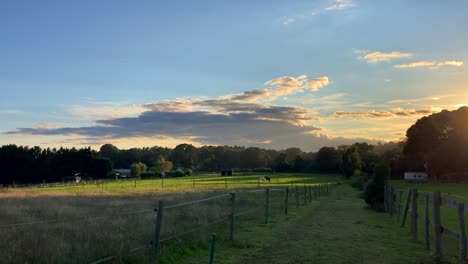 paddock and field for horses at beautiful sunset in surrey, england