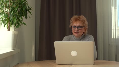 Videoanruf.-Gut-Aussehende-ältere-Dame,-Die-Einen-Videoanruf-Auf-Dem-Laptop-Führt