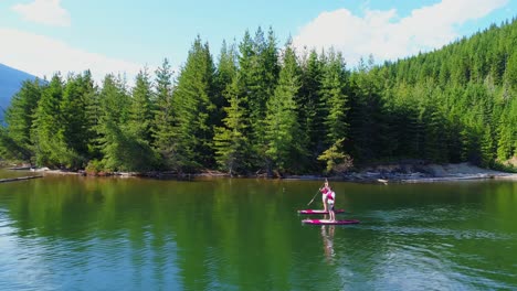 pareja remando una tabla de remos de pie en el río 4k