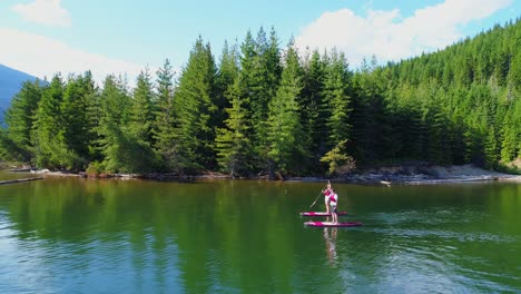 couple rowing a stand up paddle board in the river 4k