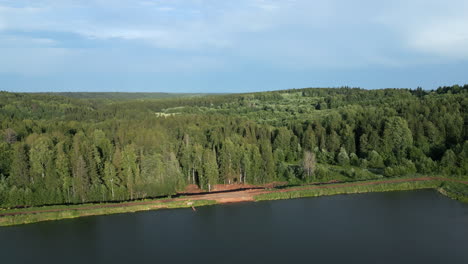 aerial view of forest and lake landscape
