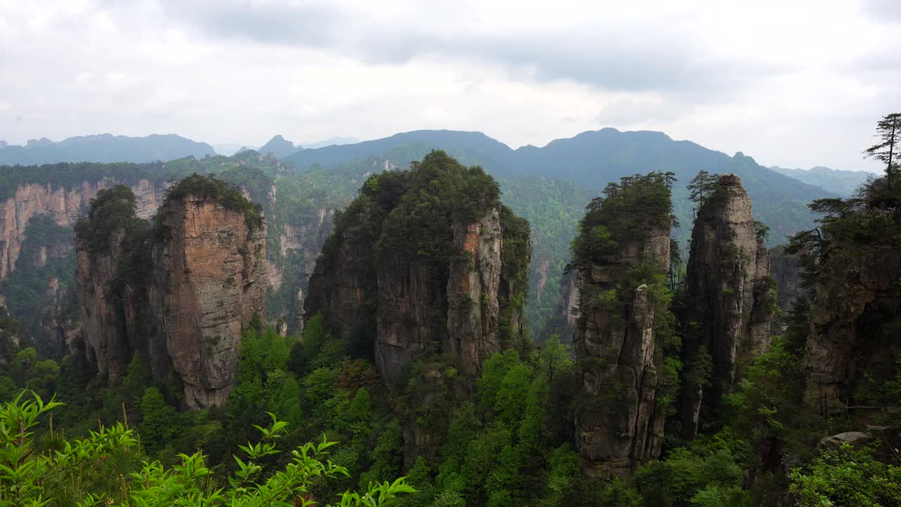 Sandstone pillars rise from a lush forested valley in Zhangjiajie under cloudy skies. Static