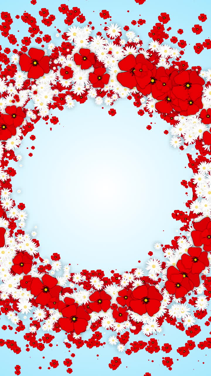 Round wreath frame with red flowers poppies and daisies. Looped floral animation on blue background with blurred bokeh. Vertical video.