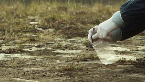 putting cigarette butt into plastic bag, crime scene investigation, closeup view