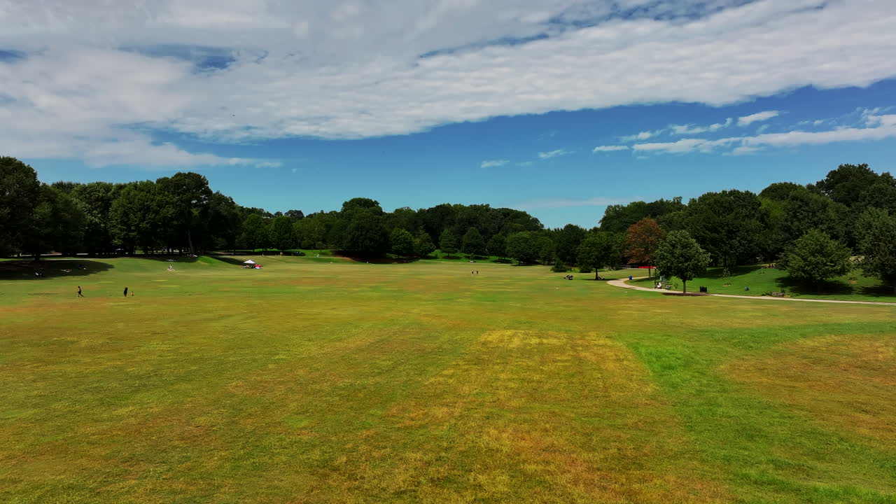 los delanteros vuelan por encima de la hierba en el parque público.