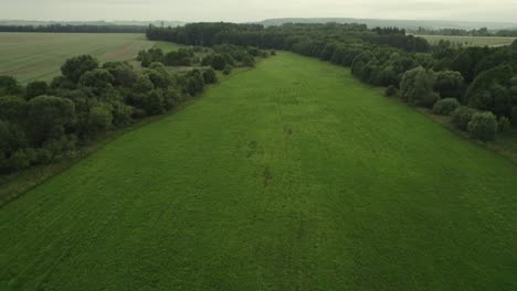 Aerial-view-of-a-large-beautiful-field