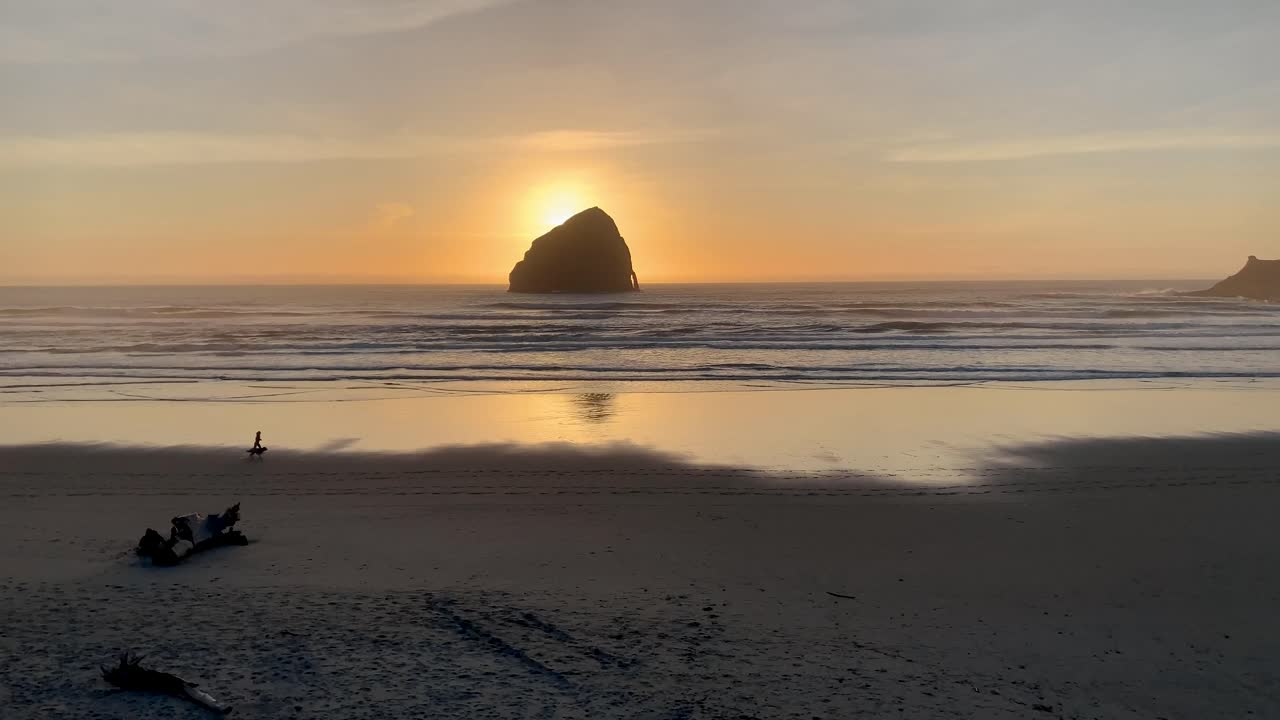trotar con un perro al atardecer en la costa de oregon