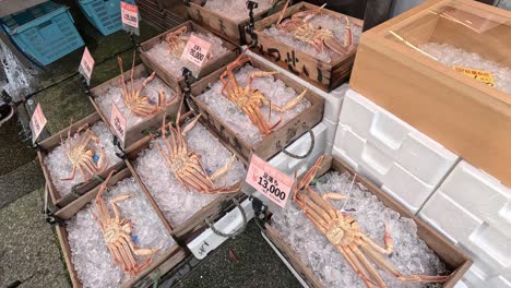 various shrimp displayed for sale at market