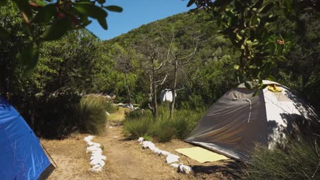 camping in a forest campground