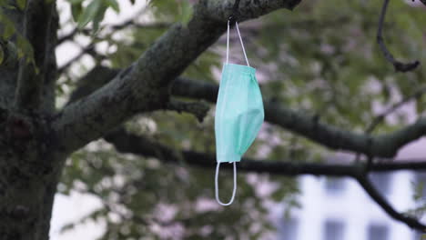 a simple green protective covid-19 face mask hanging loosely on a tree branch, thrown out by someone, being blown to and fro by an autumn wind, static close up rack focus 4k shot