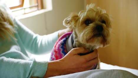 Woman-sitting-with-her-dog-on-bed-4k