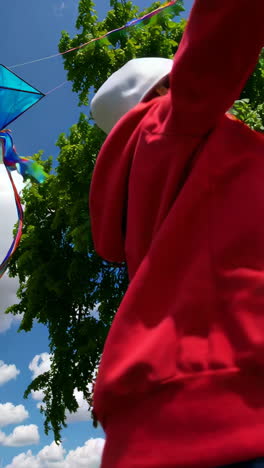 kite flying with a child