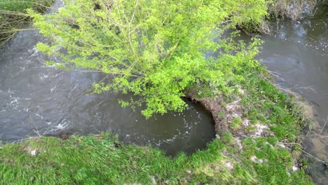 fast flowing stream curving around and eventually cutting off a part and changing the course of the stream