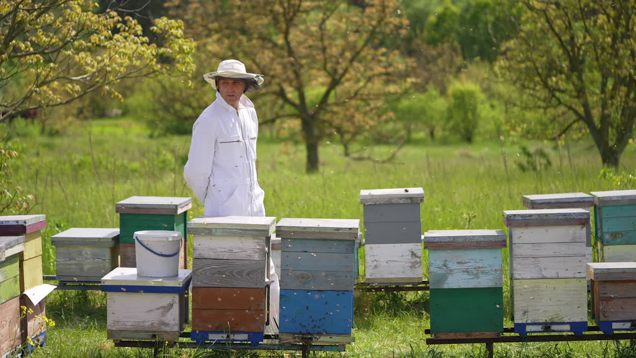 Uomo in uniforme che lavora nell'apicoltura in un apiario. Favi di un apiario agricolo biologico estivo.