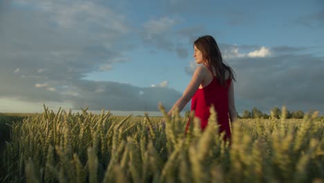 a woman in a red dress walks across a field of ears